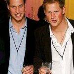 Os príncipes Harry e William vieram a público comentar sobre a situação e condenar o ato. (Foto: Reprodução)