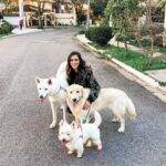 A influenciadora é dona de cinco cachorros e sempre tirar fotos com seus cãezinhos (Foto: Instagram)