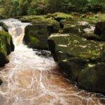 Bolton Strid, na Inglaterra, pode até parecer inofensivo. Porém o lago estreito tem uma grande corredeira e não se sabe a verdadeira profundidade (Foto: Pinterest)