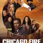 Depois de tanto sucesso no TV dos Estados Unidos, “Chicago Fire” entrou para a Globoplay e segue repetindo o êxito, chegando a liderar a audiência do streaming. (Divulgação/Globoplay)