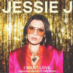Jessie J precisou se afastar um pouco do mundo da música ao descobrir que tem Síndrome de Ménière (Foto: Instagram)