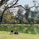 O Parque Ibirapuera é perfeito para um dia tranquilo e fazer um piquenique em família. (Foto: Instagram)