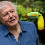 “A Vida em Cores com David Attenborough” - Com uma abordagem inovadora, a série documental mostra como os animais usam as cores para sobreviver na natureza. (Foto: Divulgação)