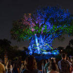 No Disney's Animal Kingdom, uma luz quente emana da Tree of Life, enquanto vaga-lumes se reúnem para introduzir a magia da natureza. (Foto: David Roark / Divulgação)