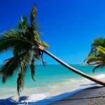 A Praia do Patacho, localizada em Porto de Pedras, Alagoas, é um verdadeiro paraíso, local ideal para quem quer relaxar. (Foto: Pinterest)