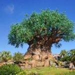 A Árvore da Vida, famosa atração do Animal Kingdom, tem 14 andares. Antigamente, ela era uma grande plataforma de petróleo. (Foto: Disney)