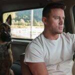 Dirigido e estrelado por Channing Tatum, "Dog" ficou com o terceiro lugar (Foto: Divulgação)