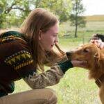 Quatro Vidas de um Cachorro (Foto: Divulgação)