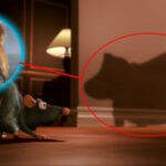 Enquanto Remy anda por diversos apartamentos tentando encontrar um lugar seguro, vemos a sombra bem definida de um cão. Até 2009, o momento passou despercebido, mas com o lançamento de "Up - Altas Aventuras", o público percebeu que a sombra pertence ao cachorro 'Dug', da Pixar. (Fotos: Divulgação/Montagem)