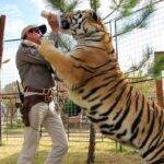 O excêntrico dono de um zoológico privado, com especial paixão por grande felinos, acaba sendo acusado de uma série de crimes, incluindo maus tratos aos animais e tentativa de a s s a s s i n a t o de uma defensora dos bichos (Foto: Divulgação)