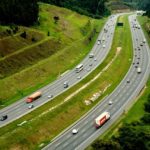 Ele ainda estava vivo quando foi achado na rodovia dos Bandeirantes. (Foto: Divugação)