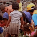 Ilha das Flores: Um tomate é plantado, colhido, transportado e vendido num supermercado, mas apodrece e acaba no lixo. O filme segue-o até seu verdadeiro final, tudo para deixar clara a diferença que existe entre tomates, animais e seres humanos. (Foto: Divulgação)