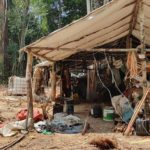 Essa atividade ilegal de garimpo, afeta o meio ambiente já que causa um enorme desmatamento (Foto: Agência Brasil)