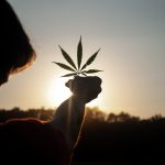 Essa sentença favorável ao homem só foi permitida porque ele apresentou documentos sobre seu estado de saúde, e ainda comprovou que em 2020 iniciou um tratamento com cannabis que teve resultado satisfatório (Foto: Unsplash)