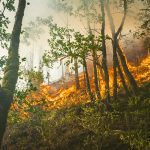 Voos na cidade foram atrasados por causa da neblina de poluição (Foto: Unsplash)