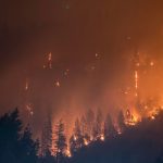 O hemisfério norte está sendo muito afetado pelos incêndios (Foto: Unsplash)