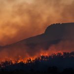 Milhões de pessoas foram afetadas com esses incêndios (Foto: Unsplash)