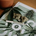 O médico do paciente prescreveu um óleo de origem caseira, e também indicou flores de cannabis in natura, item que não está disponível no mercado nacional ou internacional (Foto: Unsplash)