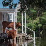 A população local está em alerta para qualquer emergência (Foto: Unsplash)