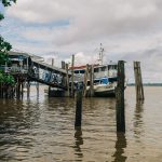 Na região Centro-Oeste, as áreas da natureza perdem espaço diante da maior presença de áreas de produção da agropecuária. (Foto: Unsplash)