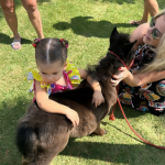 O animal foi um presente para a filha mais velha da influenciadora e do cantor Zé Felipe, Maria Alice, de 2 anos. (Foto: Instagram)