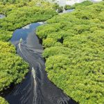 Embora o valor seja apenas metade do observado entre 1 e 2 de outubro, quando a redução foi de 20 centímetros, ainda é um número preocupante, devendo demorar mais alguns dias até que a altura do rio volte a subir (Foto: Unsplash)