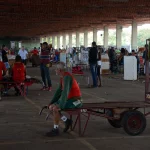 A Conab explica que isso se deve à intensificação da safra de inverno em todo o país. (Foto: Agência Brasil)