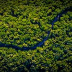 De acordo com dados do Porto de Manaus, o rio tinha apenas 13,59 metros na maré baixa (Foto: Unsplash)