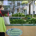 A pesquisa se baseou em dados do Censo Agropecuário de 2017 do Instituto Brasileiro de Geografia e Estatística (IBGE), do Cadastro Nacional de Produtores Orgânicos (CNPO), realizado pelo Ministério da Agricultura, Pecuária e Abastecimento (Mapa), e informações sobre consumo de pesquisas da Associação de Promoção dos Orgânicos (Organis) e do Serviço de Apoio às Micro e Pequenas Empresas (Sebrae). (Foto: Agência Brasil)