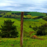 Assim como muitas cidades turísticas no interior de São Paulo, Iporanga fica em uma região de muito verde em SP, em meio a belas paisagens, com atrativos naturais como rios, cachoeiras e mirantes, além de excelentes opções de ecoturismo. (Foto: Reprodução/YouTube)