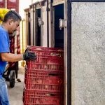 A variação de oferta pelos produtores rurais, influenciada por mudanças climáticas, foi destacada como um fator determinante nos preços. (Foto: Agência Brasil)