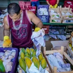 A menor oferta da raiz, principalmente em Minas Gerais, principal fornecedor nacional, foi apontada como motivo para o aumento. (Foto: Agência Brasil)