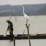 A cota de pesca do espadarte foi limitada a 2.839 toneladas no Atlântico Sul (abaixo do paralelo 5ºN) e a 45 toneladas no Atlântico Norte (acima do paralelo 5ºN). (Foto: Agência Brasil)