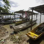 As cotas foram estabelecidas por meio de uma portaria conjunta dos Ministérios da Pesca e Aquicultura e do Meio Ambiente e Mudança Climática, publicada nesta quarta-feira (27) no Diário Oficial da União. (Foto: Agência Brasil)