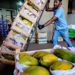 Em fevereiro, pelo terceiro mês consecutivo, o grupo de alimentos e bebidas teve o maior impacto nas classes com rendas mais baixas, refletindo a alta nos preços de itens como arroz (3,7%), feijão (5,1%), batata (6,8%), cenoura (9,1%), ovos (2,4%) e leite (3,5%). (Foto: Agência Brasil)