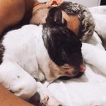 No último domingo (14), o cantor Dilsinho comoveu as redes sociais ao compartilhar uma linda homenagem para seu cachorro, Diego, que faleceu (Foto: Instagram)