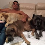 André Marques nunca escondeu de ninguém seu amor pelos cachorros. (Foto: Instagram)