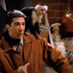 Se você assistiu a 'Friends', provavelmente se lembra do Marcel, o macaco de estimação de Ross. Bem, acontece que o animal era na verdade interpretado por dois animais: Katie e Monkey! (Foto: Divulgação)