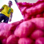 O estudo propõe o fomento à produção local de alimentos saudáveis como uma das principais soluções para o problema. (Foto: Agência Brasil)