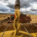 "Fortalecer a nossa agroindústria é compromisso do presidente Lula, pois significa agregar valor aos nossos produtos, gerando emprego e renda, e reduzindo a insegurança alimentar", escreveu o vice-presidente. (Foto: Agência Brasil)