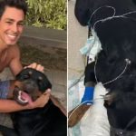 Infelizmente, o outro cachorro de Cauã, Romeu, também foi envenenado e acabou falecendo no dia 7 de junho. O ator lamentou profundamente a perda. (Foto: Instagram)