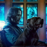 A franquia John Wick chegou bem longe desde que o primeiro filme estrelado por Keanu Reeves estreou nos cinemas, em 2014. A ideia inicial era péssima. Afinal, o que esperar de uma trama em que o protagonista – um assassino de aluguel – decide se vingar daqueles que mataram seu cachorro? (Foto: Divulgação)