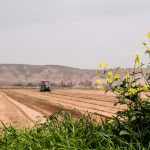 Dados da FGV Agro mostram que, em abril de 2024, a produção agroindustrial registrou uma expansão de 12,1% em comparação ao mesmo mês de 2023, correspondendo ao maior crescimento para abril desde 2013.()Foto: Unsplash)