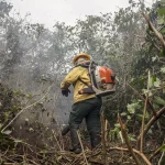 Em seguida, realiza-se a visualização do local, avaliação de riscos e comunicação constante com as equipes terrestres. (Foto: Agência Brasil)