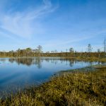 Além disso, ainda segundo a pesquisa que reúne especialistas em mudança climática mundial, as condições de clima extremo vão ser mais intensas e de 4 a 5 vezes mais prováveis no Pantanal. (Foto: Pexels)