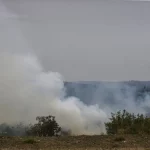 Segundo Agostinho, o aumento dos incêndios é resultado de uma combinação de calor elevado, baixa umidade e a "cultura do fogo", onde as pessoas colocam fogo em áreas vegetativas. (Foto: Agência Brasil)