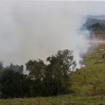 Em razão da gravidade dos incêndios, o governo local interditou algumas rodovias, impactando significativamente o tráfego em várias regiões. (Foto: Agência Brasil)