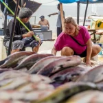 O relatório também destaca a necessidade de modernização da Lei da Pesca (Lei nº 11.959) e recomenda a criação de um plano nacional para a produção de estatísticas pesqueiras, incluindo a coleta de dados a bordo das embarcações. (Foto: Agência Brasil)