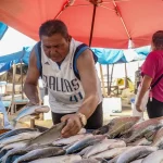 Em 2022, apenas 49% dessas espécies eram monitoradas adequadamente. (Foto: Agência Brasil)