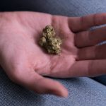 O indivíduo foi flagrado por policiais fumando em um beco e estava em posse de 23 gramas de maconha. (Foto: Unsplash)